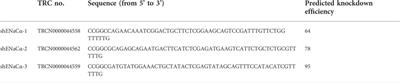 Biphasic regulation of CFTR expression by ENaC in epithelial cells: The involvement of Ca2+-modulated cAMP production